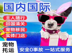 鄂托克旗乌兰机场快运国际宠物托运 【国